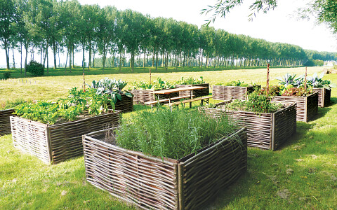 Moestuinbakken Kopen Vierkante Meter Tuin Tuincentrum De Molen