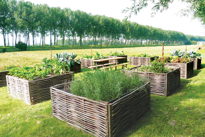 Moestuinbakken of vierkante meter tuin