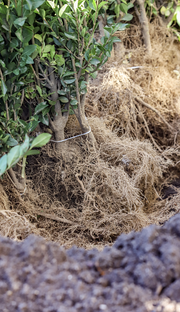 Ontdek ons aanbod en reserveer eenvoudig online