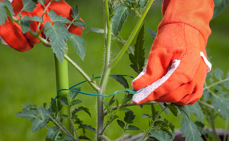 Steunmateriaal voor planten, bomen en sierstammen