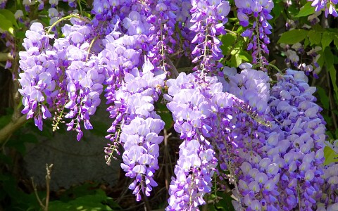 Wanddecoratie buiten Wanddecoratie buiten