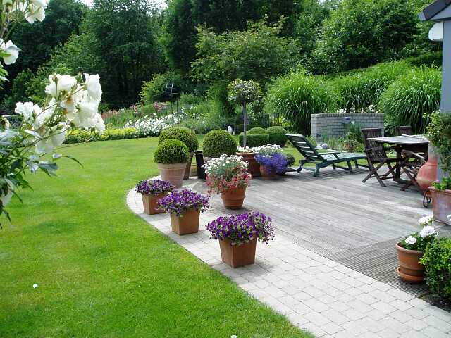 Tuininrichting met buxus en eenjarigen