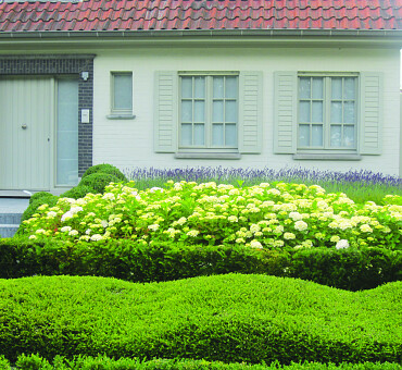 Source d'inspiration pour le jardin