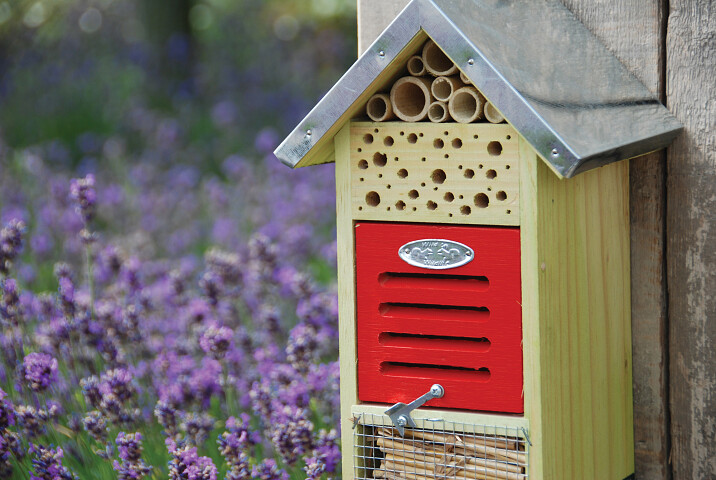 insectenhotel voor vlinders